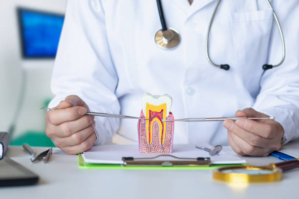 Best Emergency Tooth Extraction in Stevenson, WA